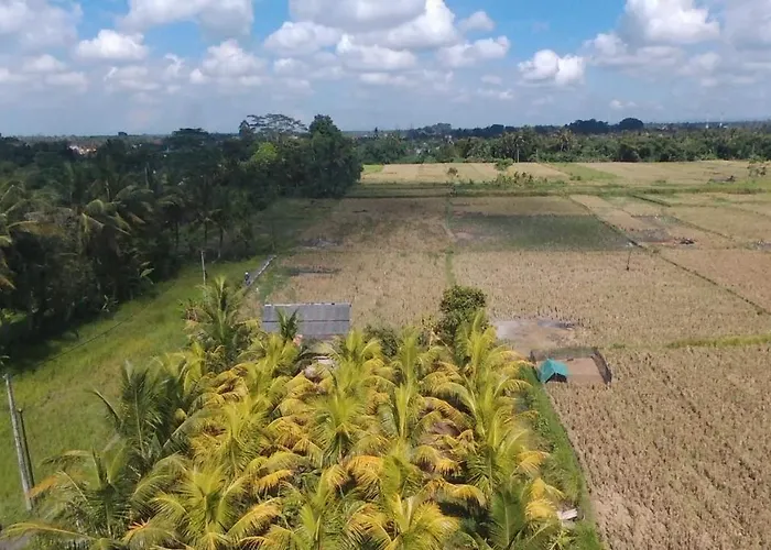 Suara Sidhi Bali